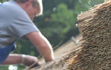 professional Hoop thatchers